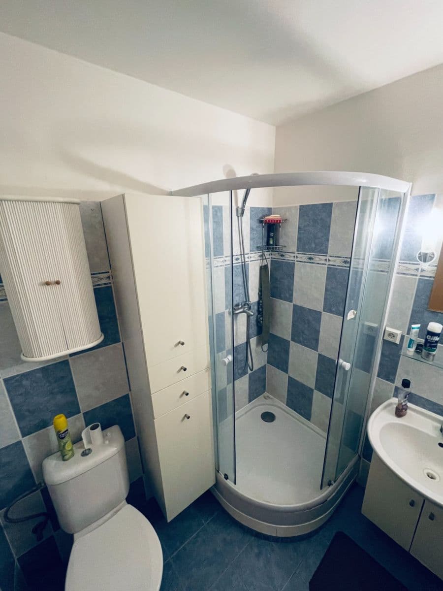 Prenájom bytu 3-izbový 100 m², Jana Růžičky, Praha, Praha Prenájom bytu 3-izbový 100 m², Jana Růžičky, Praha, Praha