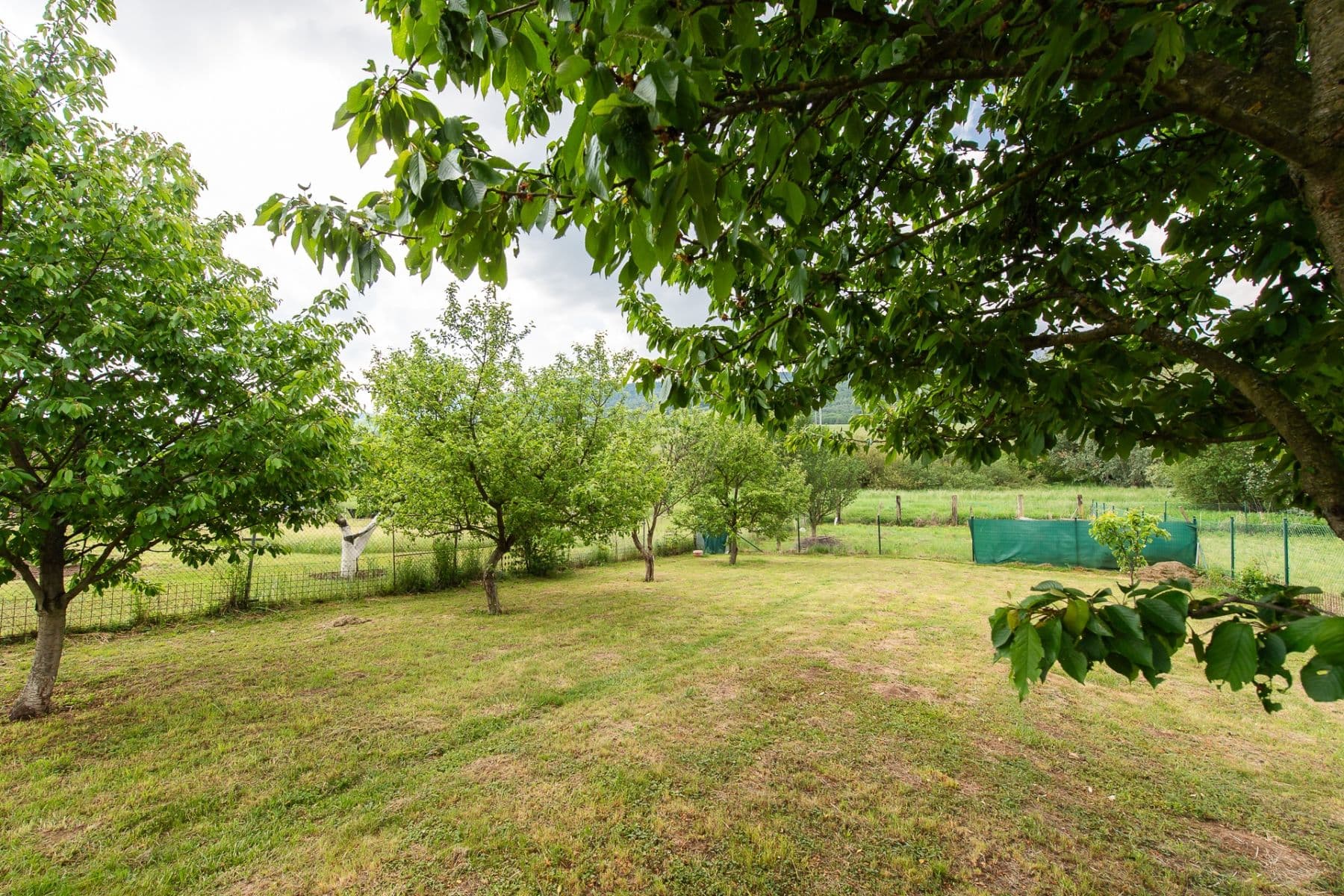 Predaj domu 1.500 m², pozemek 1.598 m², Ovčie, Prešovský kraj Predaj domu 1.500 m², pozemek 1.598 m², Ovčie, Prešovský kraj