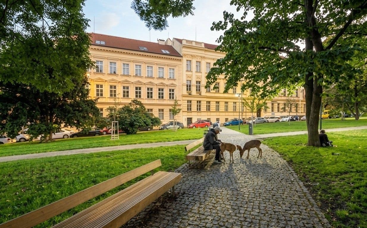 Prenájom bytu 2-izbový 55 m², Žitomírská, Praha, Praha Prenájom bytu 2-izbový 55 m², Žitomírská, Praha, Praha