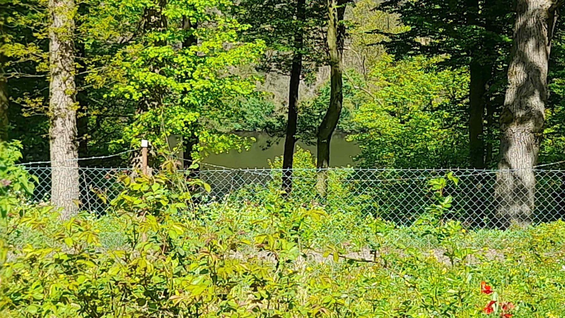 Predaj pozemku 570 m², Trnová, Středočeský kraj Predaj pozemku 570 m², Trnová, Středočeský kraj