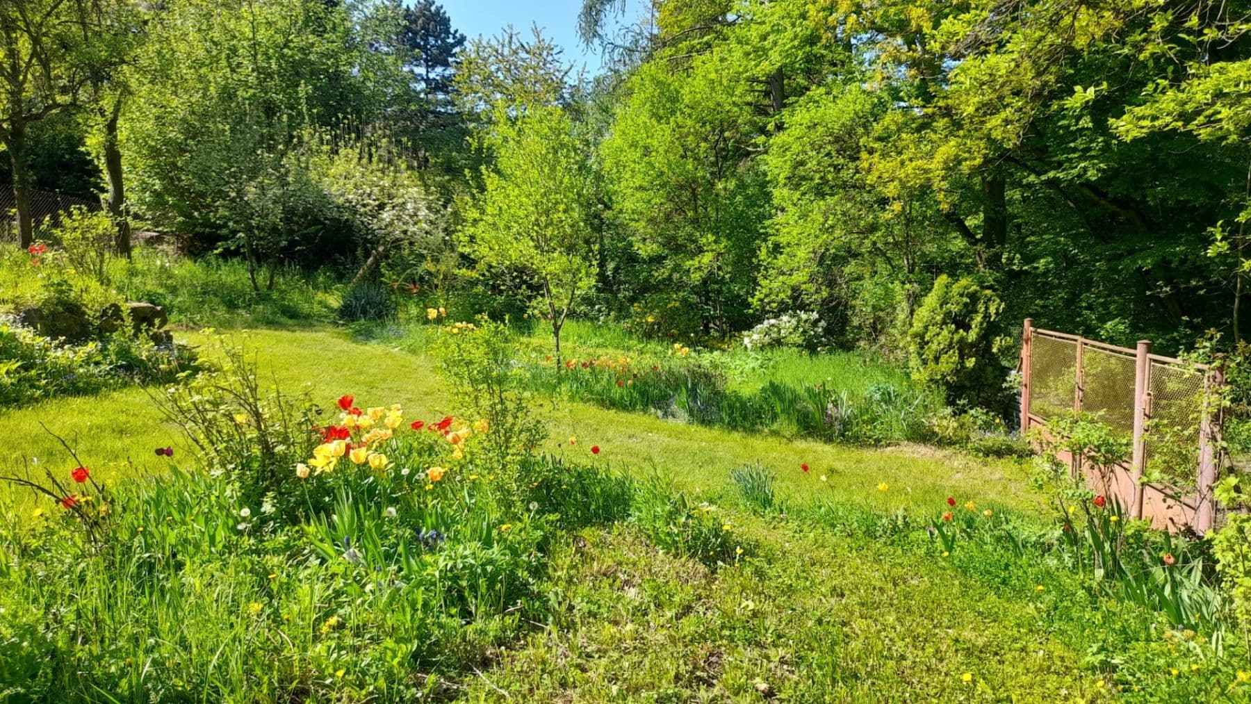 Predaj pozemku 570 m², Trnová, Středočeský kraj Predaj pozemku 570 m², Trnová, Středočeský kraj