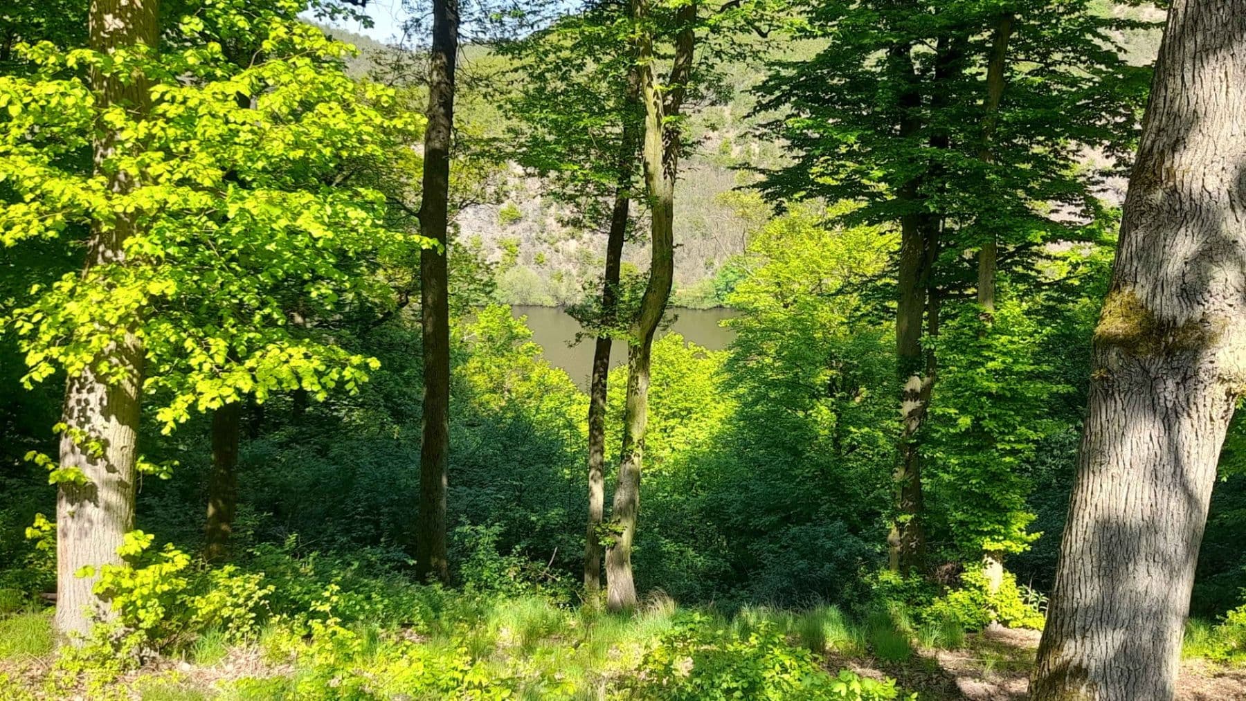 Predaj pozemku 570 m², Trnová, Středočeský kraj Predaj pozemku 570 m², Trnová, Středočeský kraj