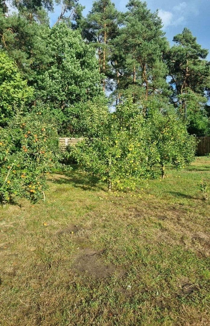Predaj domu 146 m², pozemek 20.510 m², Stolpe auf Usedom, Meklenbursko-Predpomoransko Predaj domu 146 m², pozemek 20.510 m², Stolpe auf Usedom, Meklenbursko-Predpomoransko