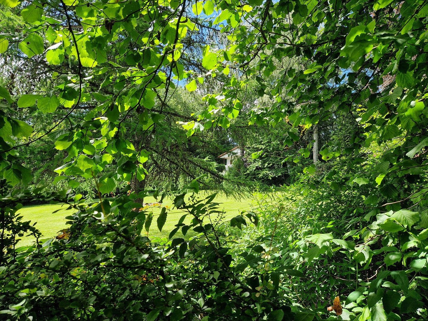 Predaj domu 253 m², pozemek 8.685 m², Achtelsbach, Porýnie-Falcko Predaj domu 253 m², pozemek 8.685 m², Achtelsbach, Porýnie-Falcko