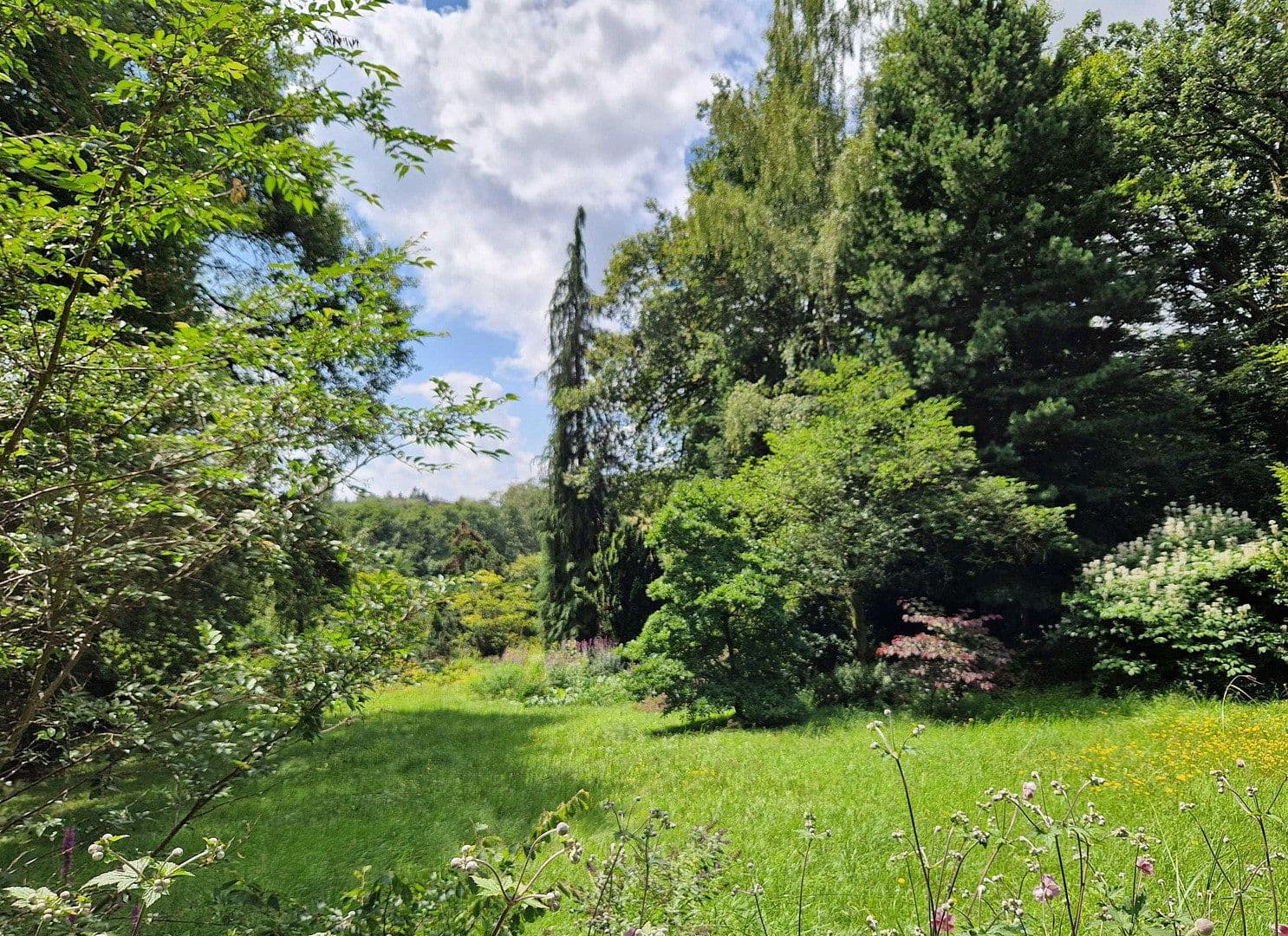 Predaj pozemku 1.890 m², Viehweideweg 18, Hofheim am Taunus, Hesensko Predaj pozemku 1.890 m², Viehweideweg 18, Hofheim am Taunus, Hesensko