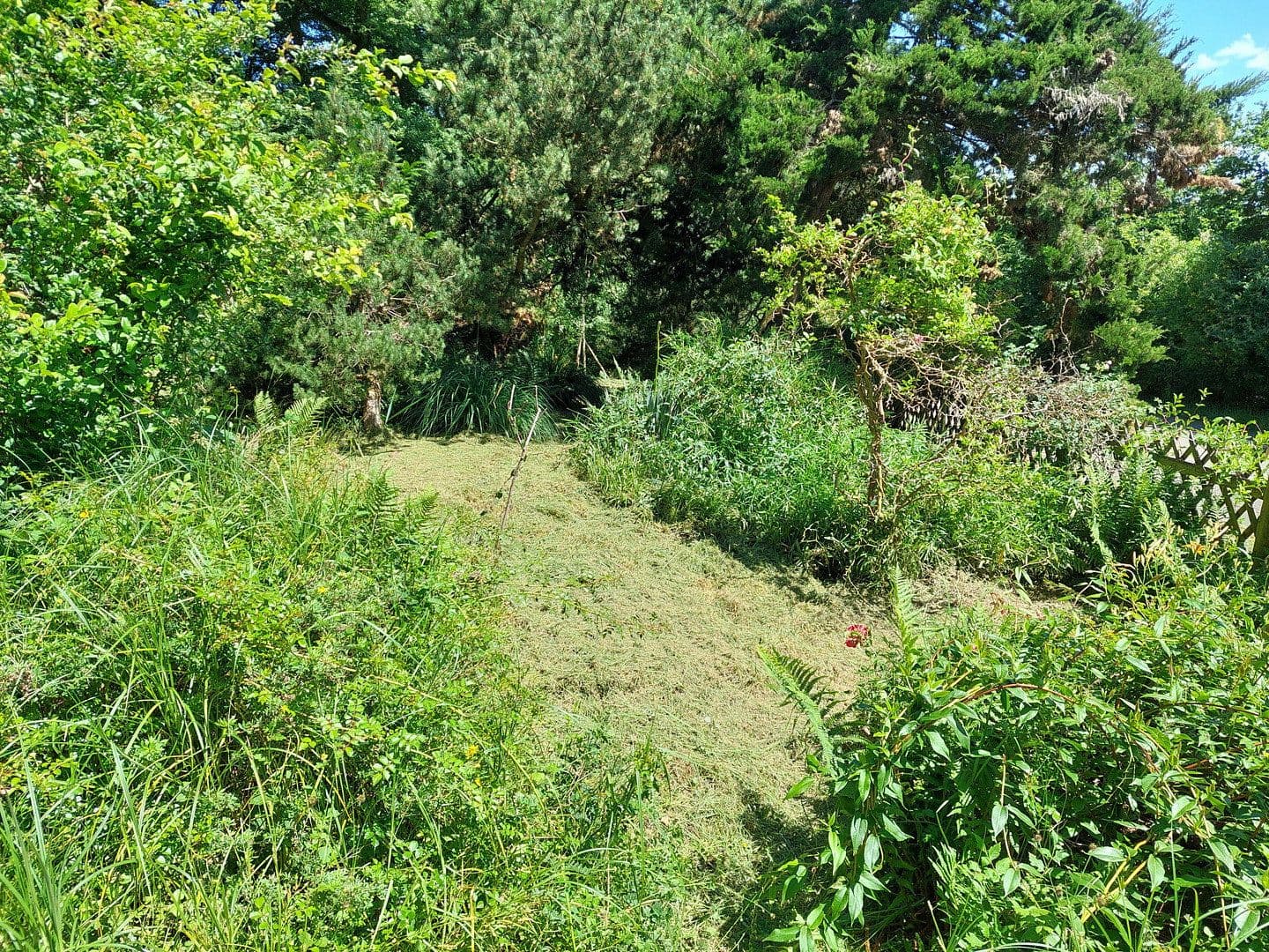 Predaj pozemku 1.890 m², Viehweideweg 18, Hofheim am Taunus, Hesensko Predaj pozemku 1.890 m², Viehweideweg 18, Hofheim am Taunus, Hesensko