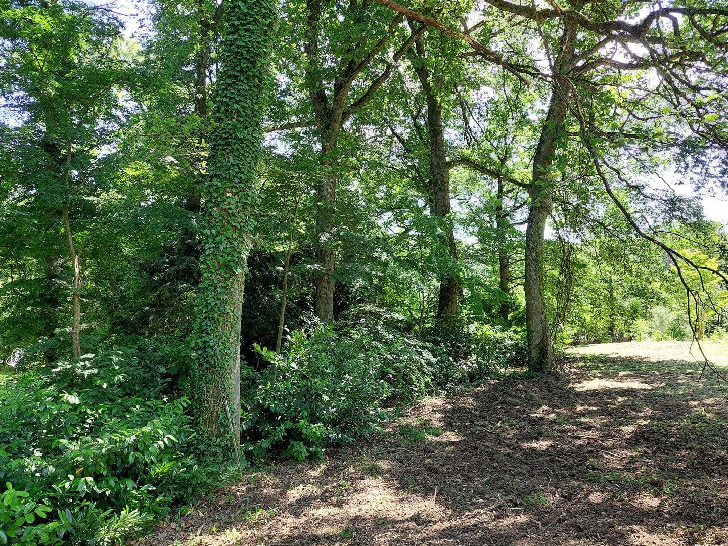 Predaj pozemku 1.890 m², Viehweideweg 18, Hofheim am Taunus, Hesensko Predaj pozemku 1.890 m², Viehweideweg 18, Hofheim am Taunus, Hesensko
