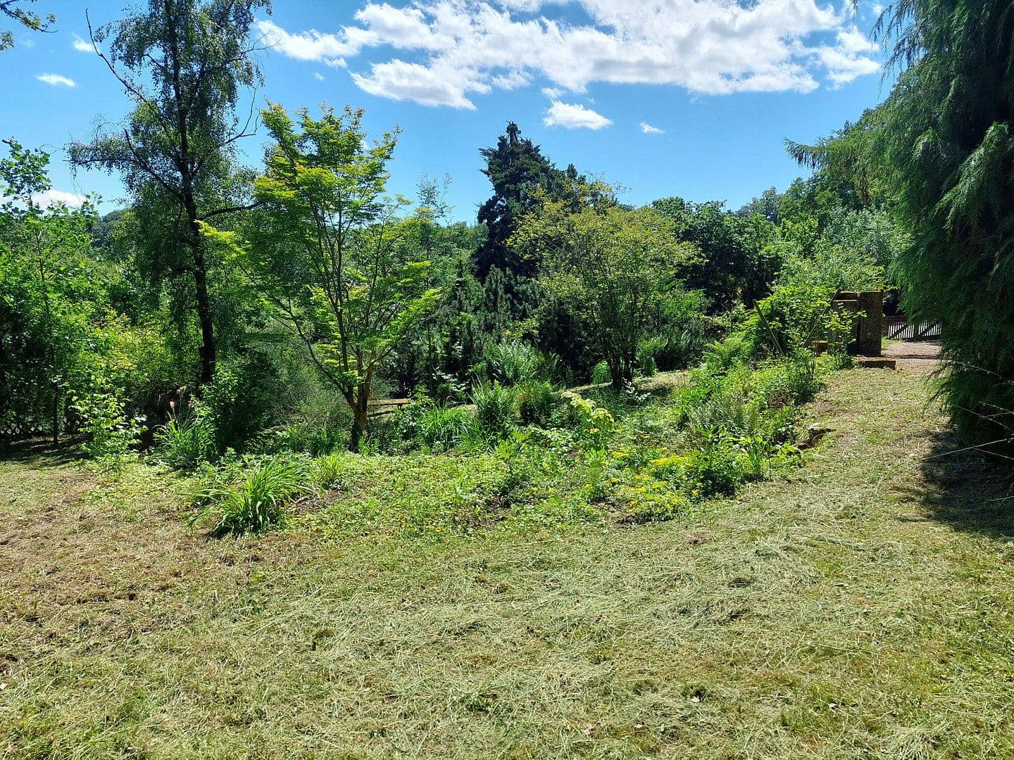 Predaj pozemku 1.890 m², Viehweideweg 18, Hofheim am Taunus, Hesensko Predaj pozemku 1.890 m², Viehweideweg 18, Hofheim am Taunus, Hesensko