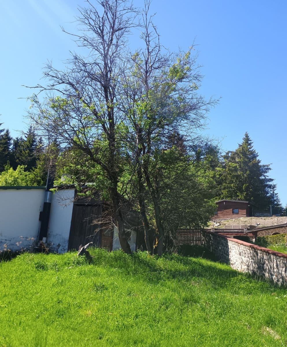 Predaj rekreačného objektu 60 m², pozemek 230 m², Jáchymov, Karlovarský kraj Predaj rekreačného objektu 60 m², pozemek 230 m², Jáchymov, Karlovarský kraj