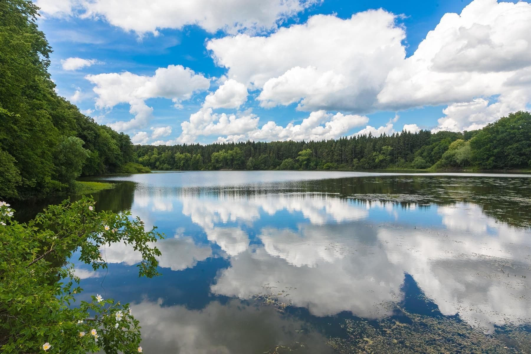 Predaj domu 150 m², pozemek 816 m², Malešov, Středočeský kraj Predaj domu 150 m², pozemek 816 m², Malešov, Středočeský kraj