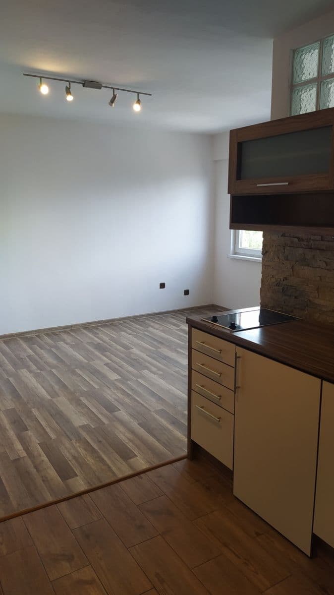 Predaj bytu 1-izbový 28 m², Petra Křičky, Ostrava, Moravskoslezský kraj Predaj bytu 1-izbový 28 m², Petra Křičky, Ostrava, Moravskoslezský kraj
