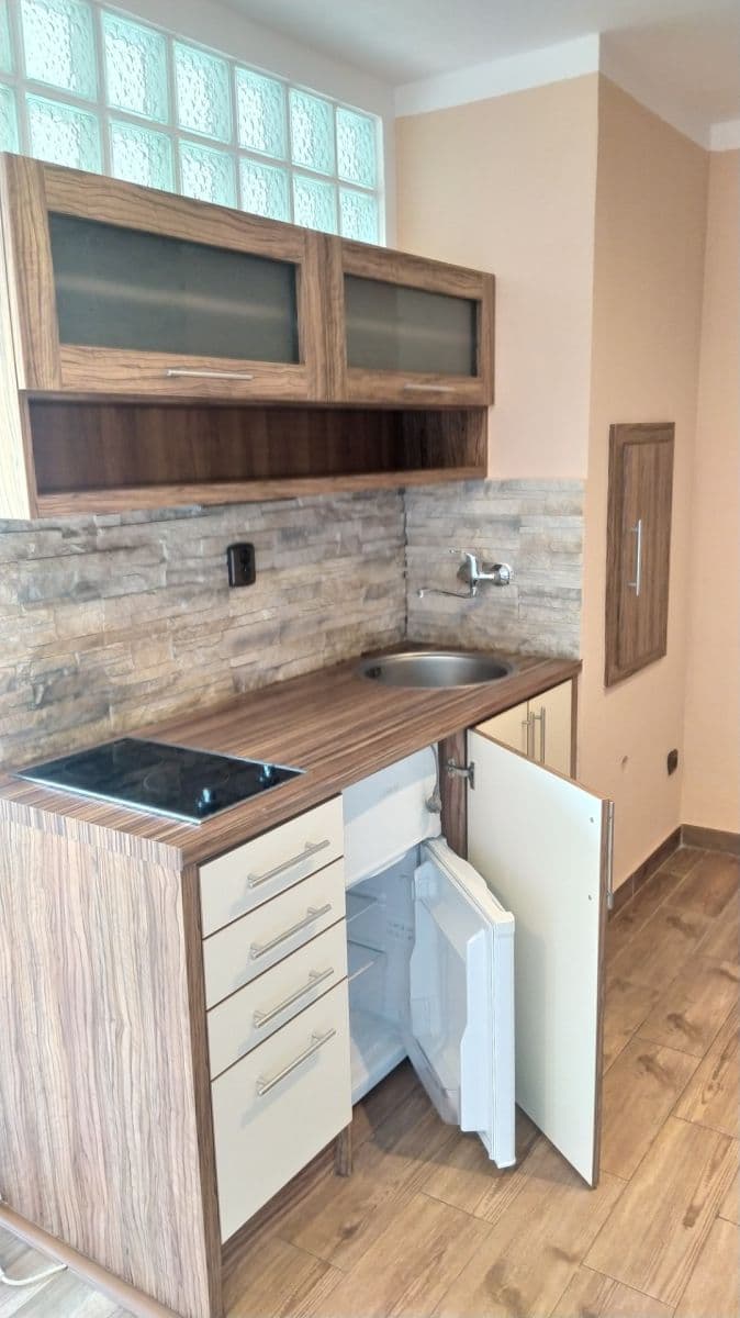 Predaj bytu 1-izbový 28 m², Petra Křičky, Ostrava, Moravskoslezský kraj Predaj bytu 1-izbový 28 m², Petra Křičky, Ostrava, Moravskoslezský kraj
