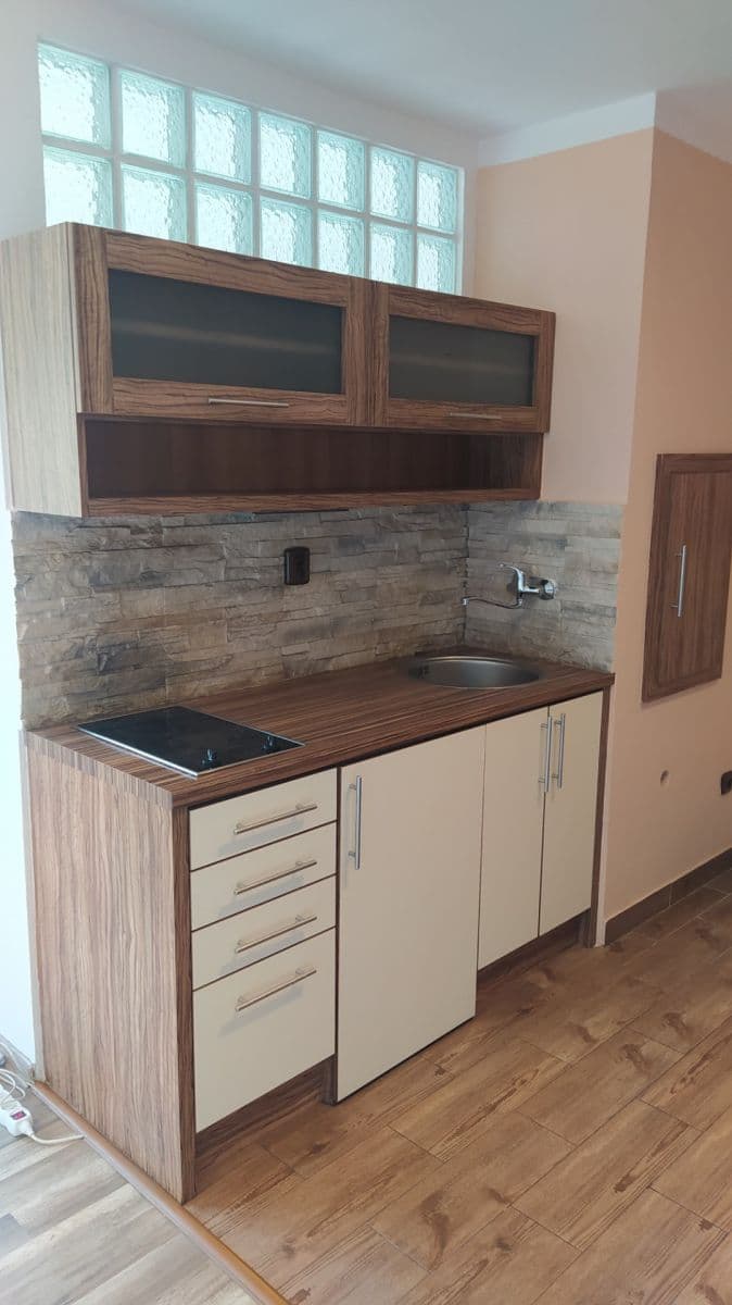 Predaj bytu 1-izbový 28 m², Petra Křičky, Ostrava, Moravskoslezský kraj Predaj bytu 1-izbový 28 m², Petra Křičky, Ostrava, Moravskoslezský kraj