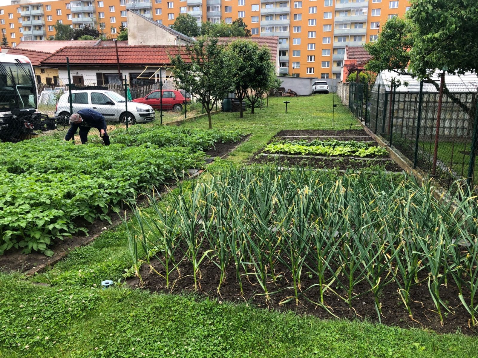 Prenájom pozemku 400 m², Dolní, Prostějov, Olomoucký kraj Prenájom pozemku 400 m², Dolní, Prostějov, Olomoucký kraj