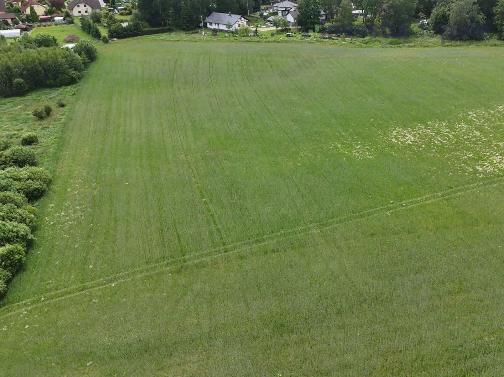 Predaj pozemku 18.851 m², Staré Sedlo, Karlovarský kraj Predaj pozemku 18.851 m², Staré Sedlo, Karlovarský kraj