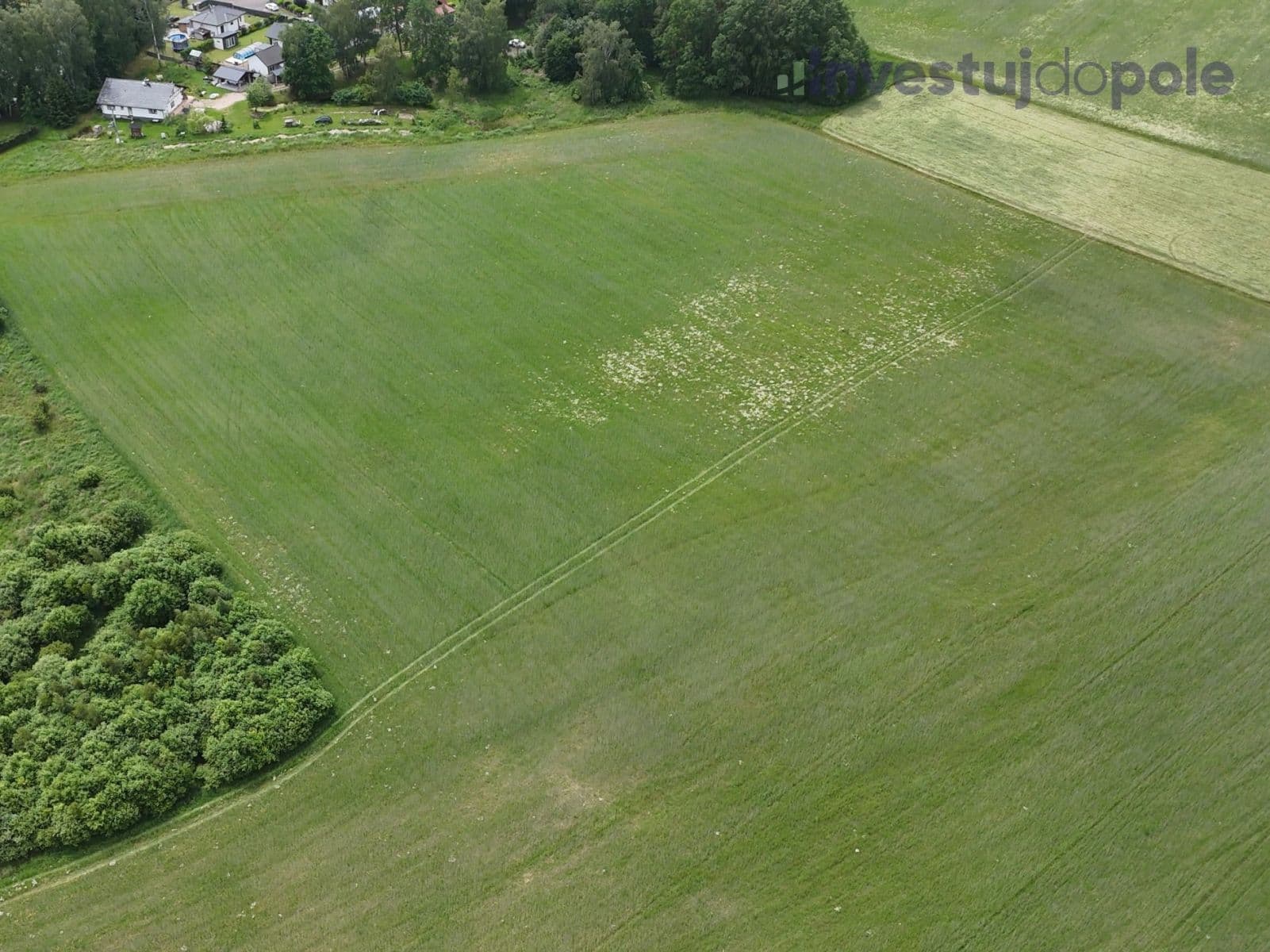 Predaj pozemku 18.851 m², Staré Sedlo, Karlovarský kraj Predaj pozemku 18.851 m², Staré Sedlo, Karlovarský kraj