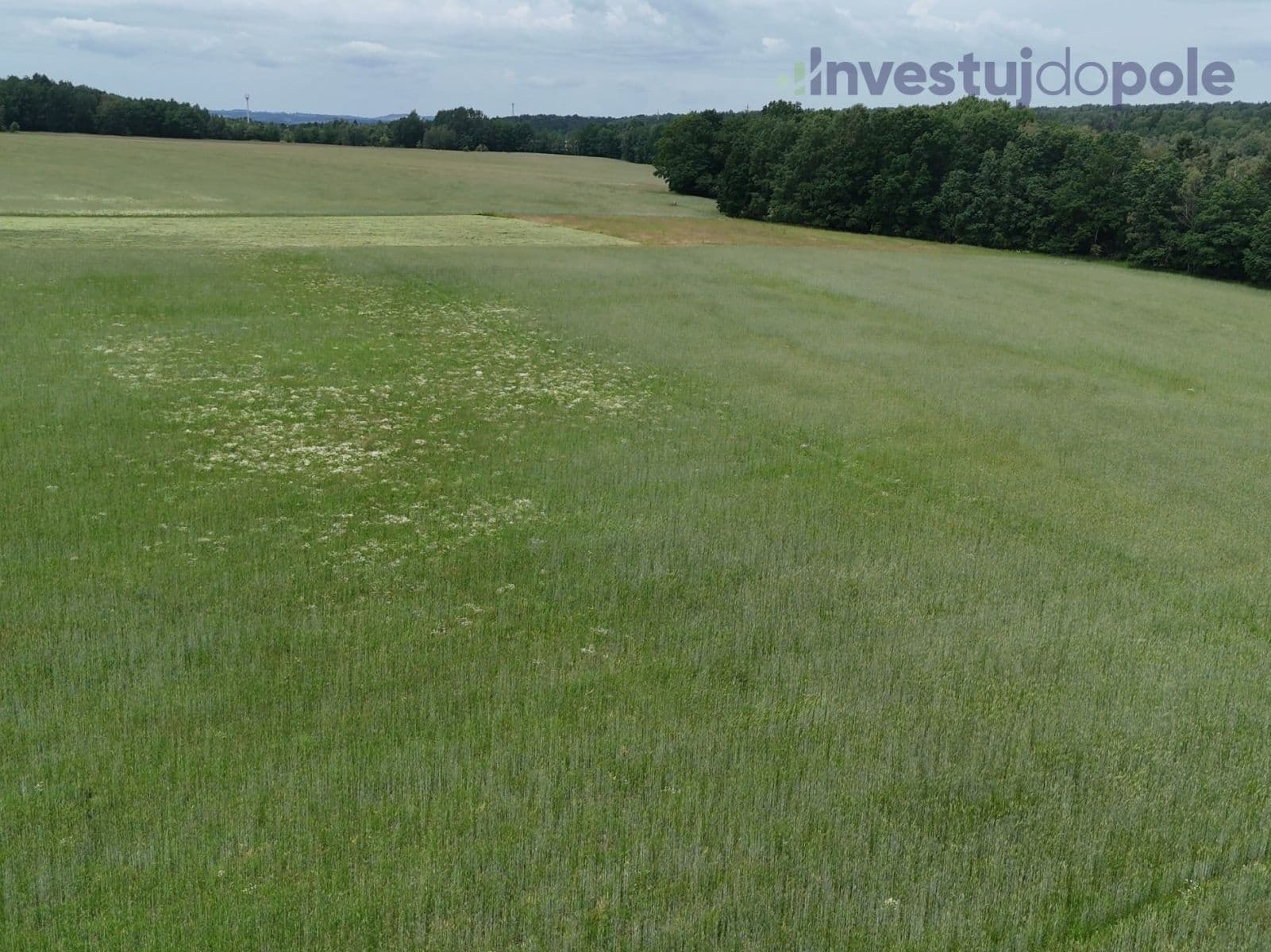 Predaj pozemku 18.851 m², Staré Sedlo, Karlovarský kraj Predaj pozemku 18.851 m², Staré Sedlo, Karlovarský kraj