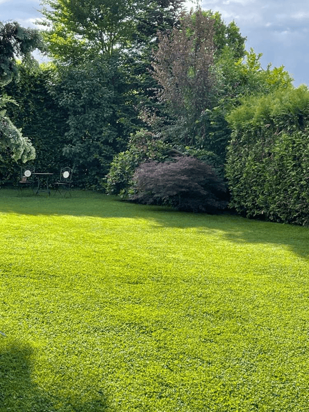 Predaj domu 195 m², pozemek 792 m², Dreieich, Hesensko Predaj domu 195 m², pozemek 792 m², Dreieich, Hesensko
