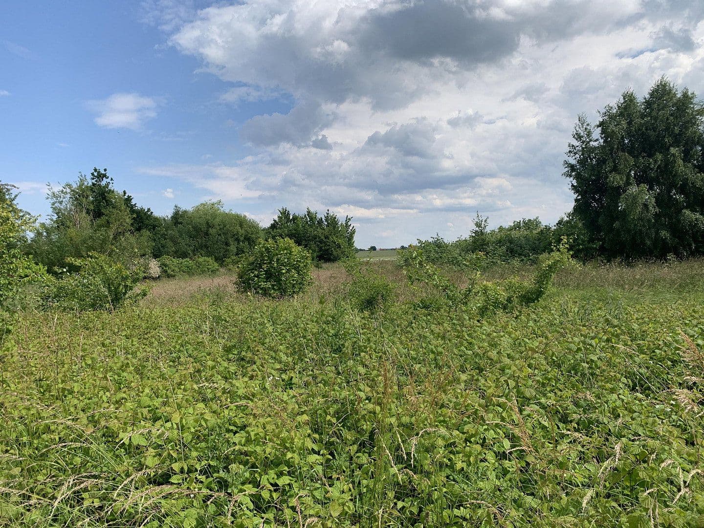 Predaj pozemku 1.879 m², Grabowerstraße, Altenpleen, Meklenbursko-Predpomoransko Predaj pozemku 1.879 m², Grabowerstraße, Altenpleen, Meklenbursko-Predpomoransko