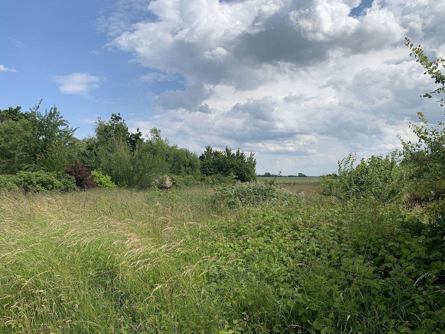 Predaj pozemku 1.879 m², Grabowerstraße, Altenpleen, Meklenbursko-Predpomoransko Predaj pozemku 1.879 m², Grabowerstraße, Altenpleen, Meklenbursko-Predpomoransko
