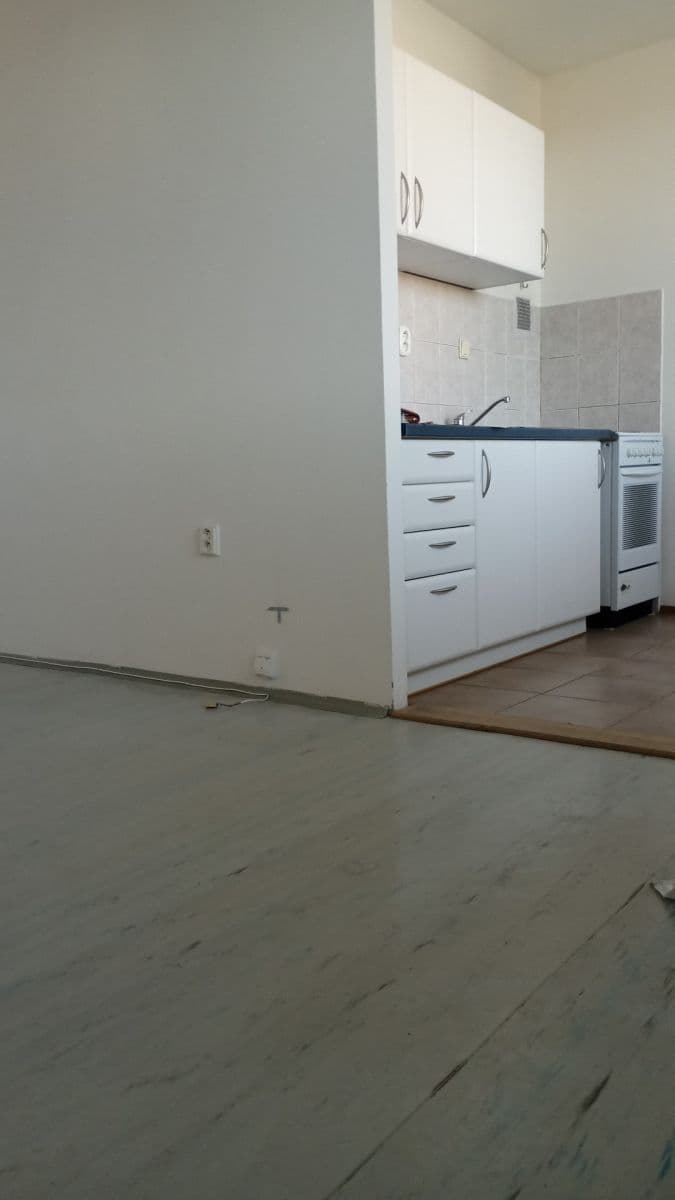 Prenájom bytu 1-izbový 40 m², Holíkova, Jílové u Prahy, Středočeský kraj Prenájom bytu 1-izbový 40 m², Holíkova, Jílové u Prahy, Středočeský kraj