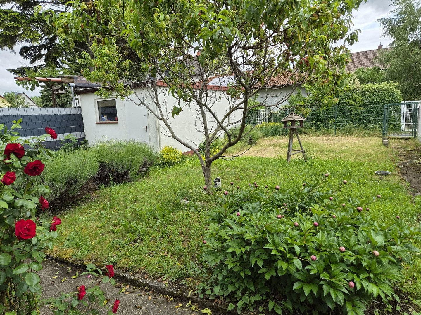Predaj domu 117 m², pozemek 345 m², Mannheim, Bádensko-Wurttembersko Predaj domu 117 m², pozemek 345 m², Mannheim, Bádensko-Wurttembersko