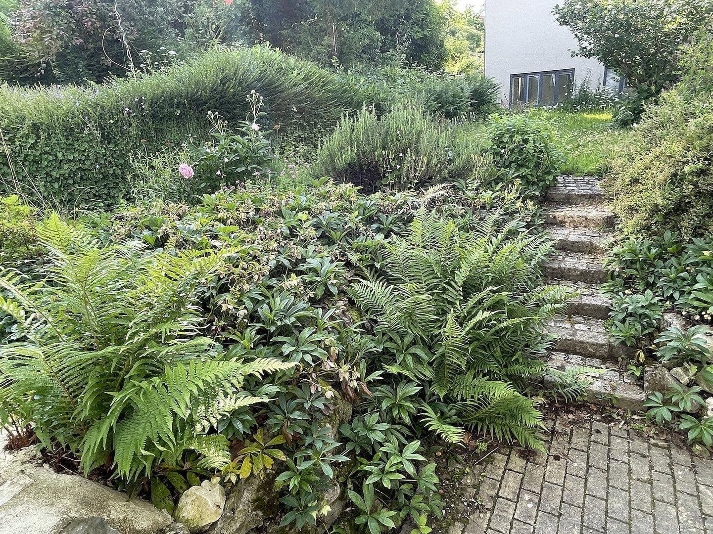 Prenájom bytu 3-izbový 118 m², Klingleweg 8, Meersburg, Bádensko-Wurttembersko Prenájom bytu 3-izbový 118 m², Klingleweg 8, Meersburg, Bádensko-Wurttembersko