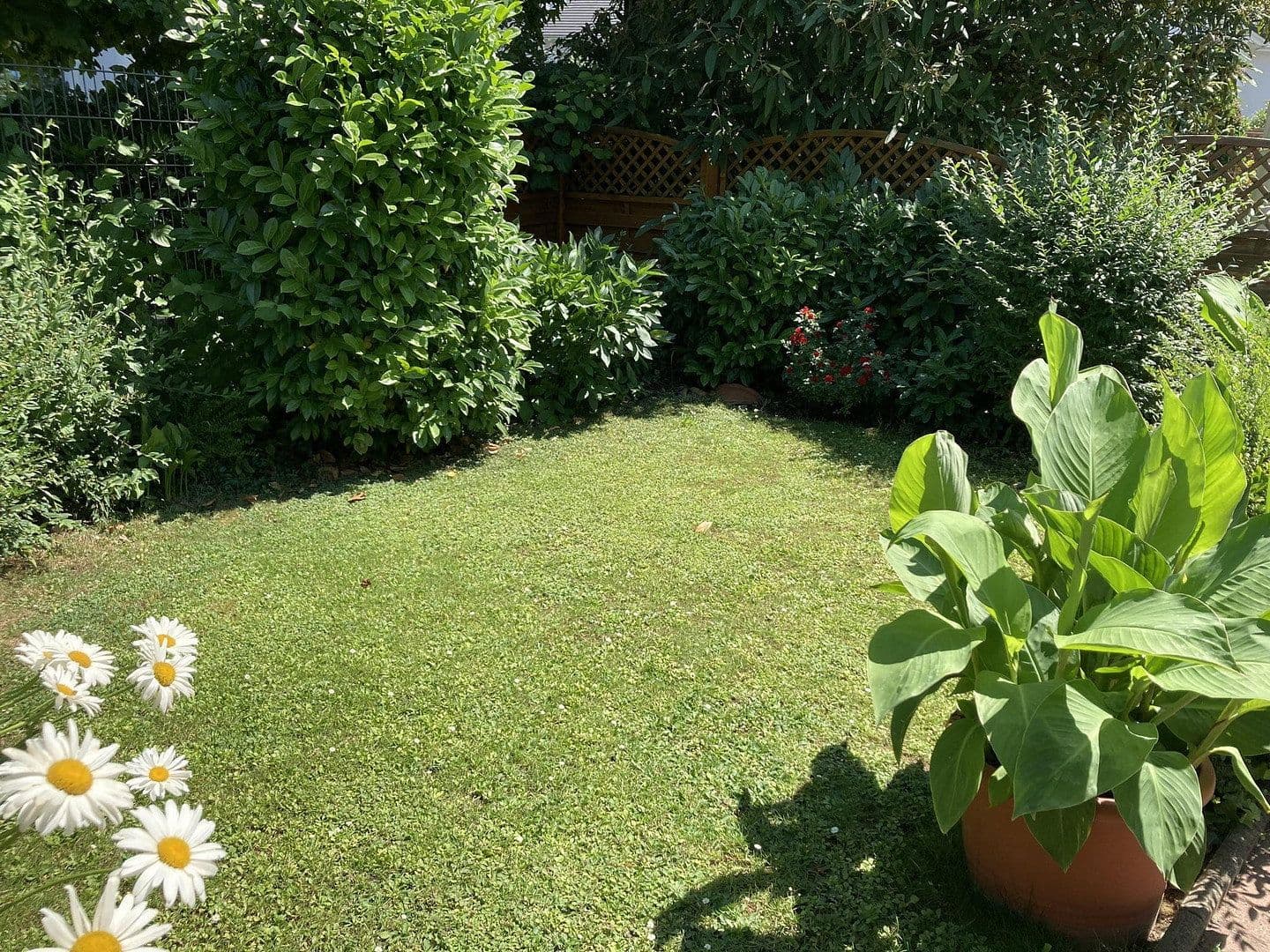 Predaj domu 298 m², pozemek 664 m², Büttelborn, Hesensko Predaj domu 298 m², pozemek 664 m², Büttelborn, Hesensko