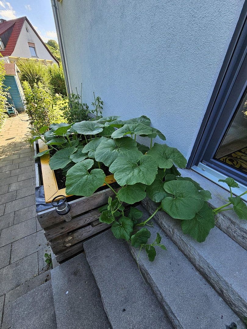 Predaj bytu 7-izbový 210 m², Burgthann, Bavorsko Predaj bytu 7-izbový 210 m², Burgthann, Bavorsko