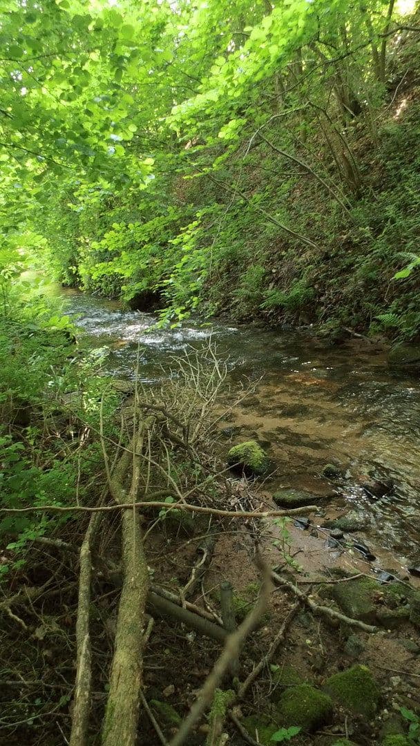 Prenájom bytu 4-izbový 130 m², Schwimmbadstraße 7, Bad Herrenalb, Bádensko-Wurttembersko Prenájom bytu 4-izbový 130 m², Schwimmbadstraße 7, Bad Herrenalb, Bádensko-Wurttembersko