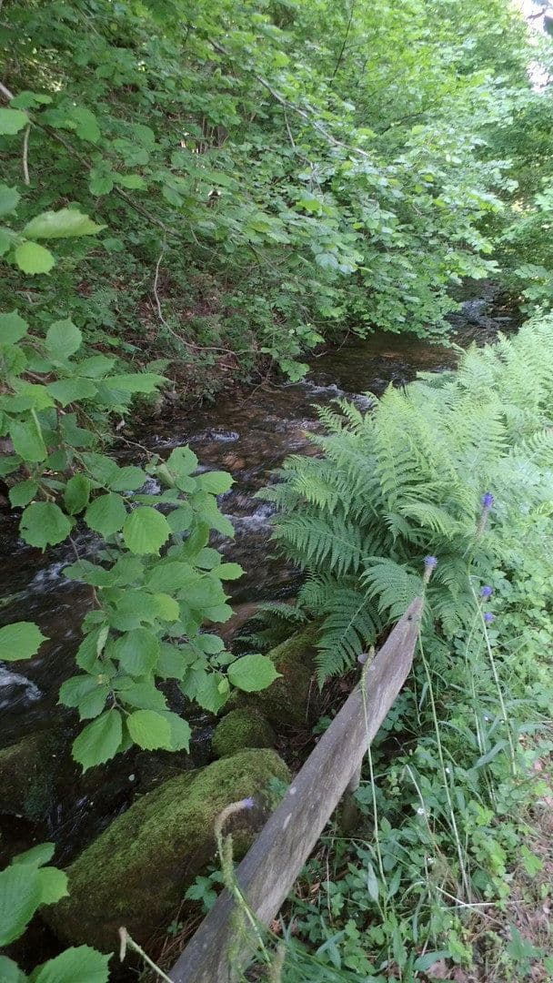 Prenájom bytu 4-izbový 130 m², Schwimmbadstraße 7, Bad Herrenalb, Bádensko-Wurttembersko Prenájom bytu 4-izbový 130 m², Schwimmbadstraße 7, Bad Herrenalb, Bádensko-Wurttembersko
