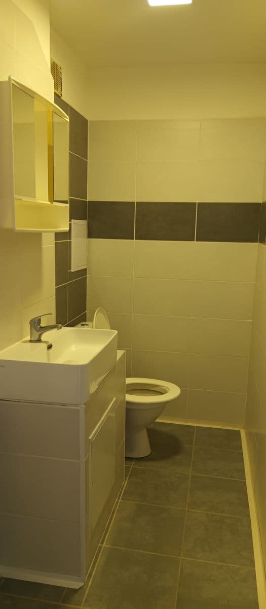 Prenájom bytu 1-izbový 28 m², Vltavská, Brno, Jihomoravský kraj Prenájom bytu 1-izbový 28 m², Vltavská, Brno, Jihomoravský kraj