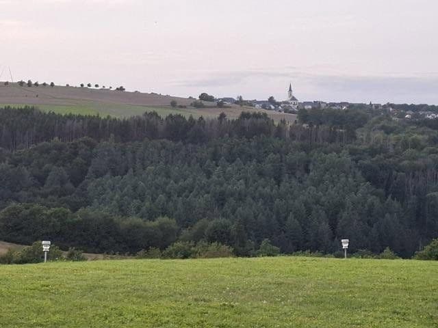 Predaj domu 146 m², pozemek 2.000 m², Rascheid, Porýnie-Falcko Predaj domu 146 m², pozemek 2.000 m², Rascheid, Porýnie-Falcko