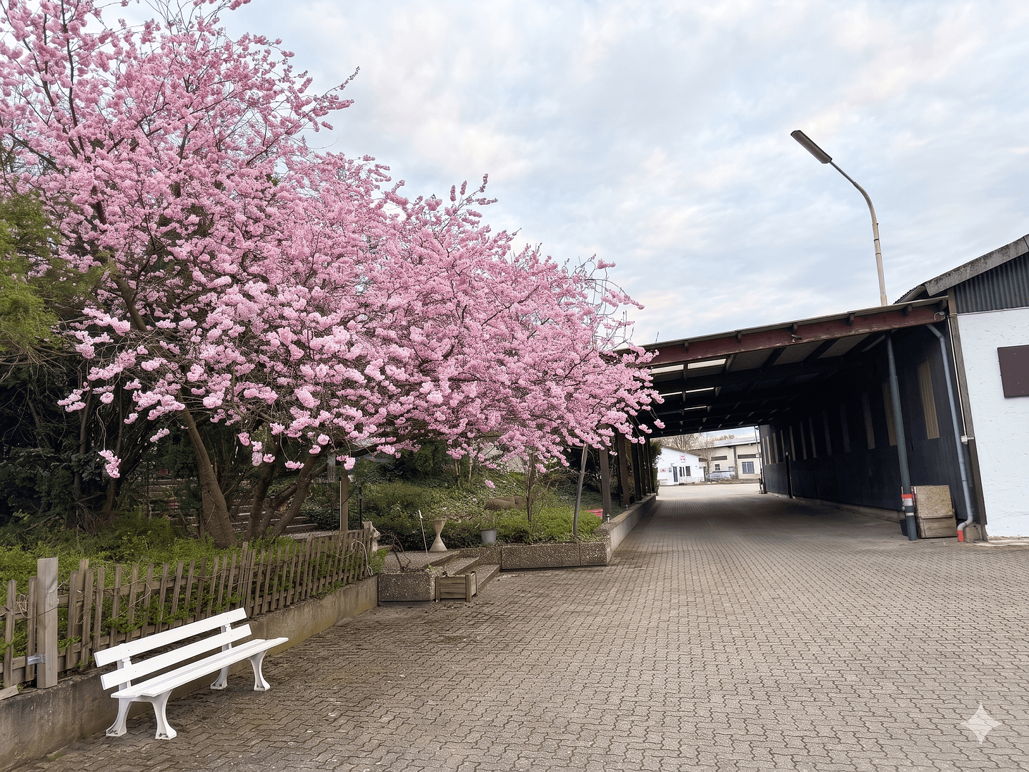 Predaj nebytového priestoru 3.682 m², Hagenbach, Porýnie-Falcko Predaj nebytového priestoru 3.682 m², Hagenbach, Porýnie-Falcko