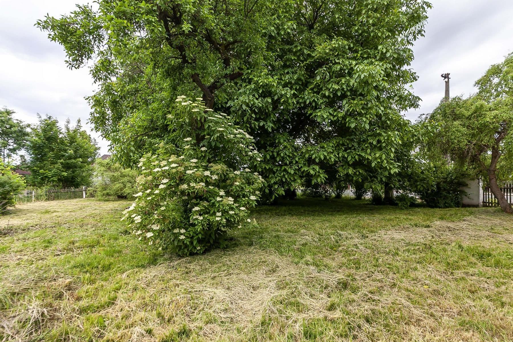 Predaj domu 189 m², pozemek 1.847 m², Jiříkovská, Rumburk, Ústecký kraj Predaj domu 189 m², pozemek 1.847 m², Jiříkovská, Rumburk, Ústecký kraj