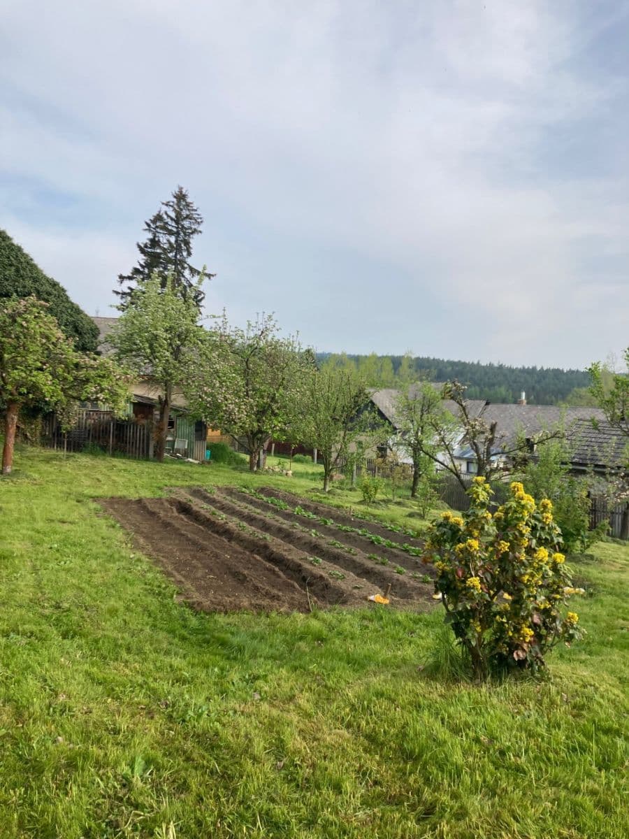 Predaj domu 130 m², pozemok 1.200 m², Vrbice, Jihočeský kraj Predaj domu 130 m², pozemok 1.200 m², Vrbice, Jihočeský kraj