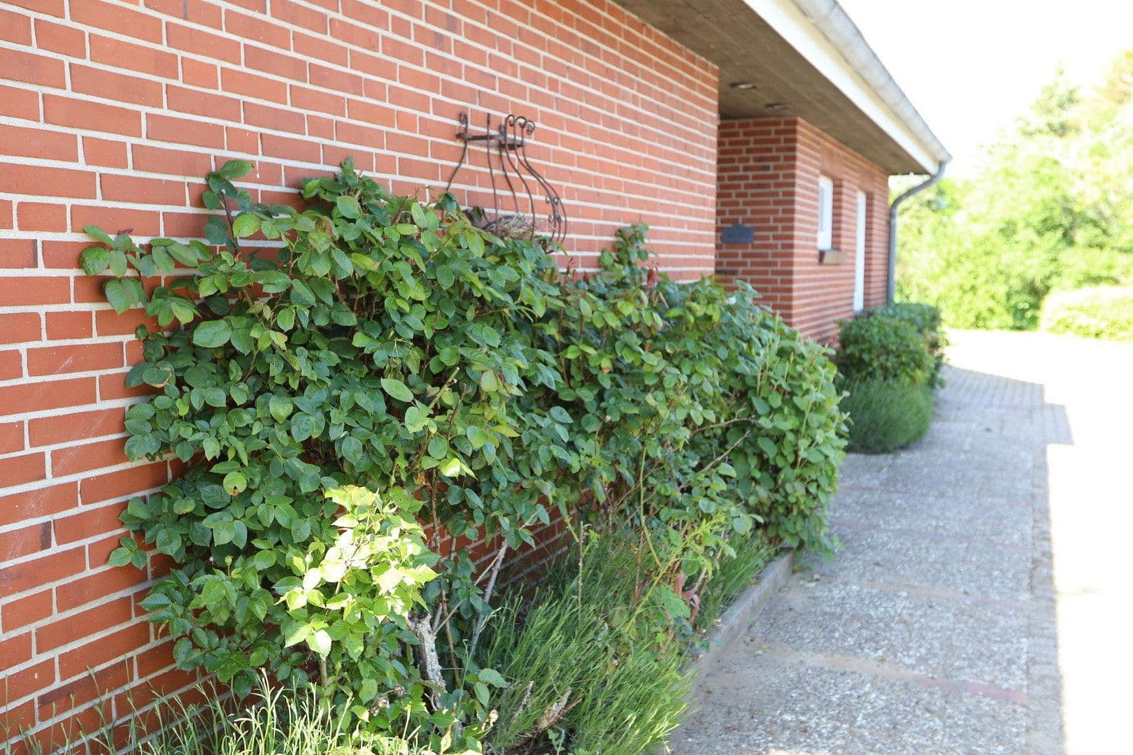 Predaj domu 180 m², pozemek 1.502 m², Aventoft, Šlezvicko-Holštajnsko Predaj domu 180 m², pozemek 1.502 m², Aventoft, Šlezvicko-Holštajnsko