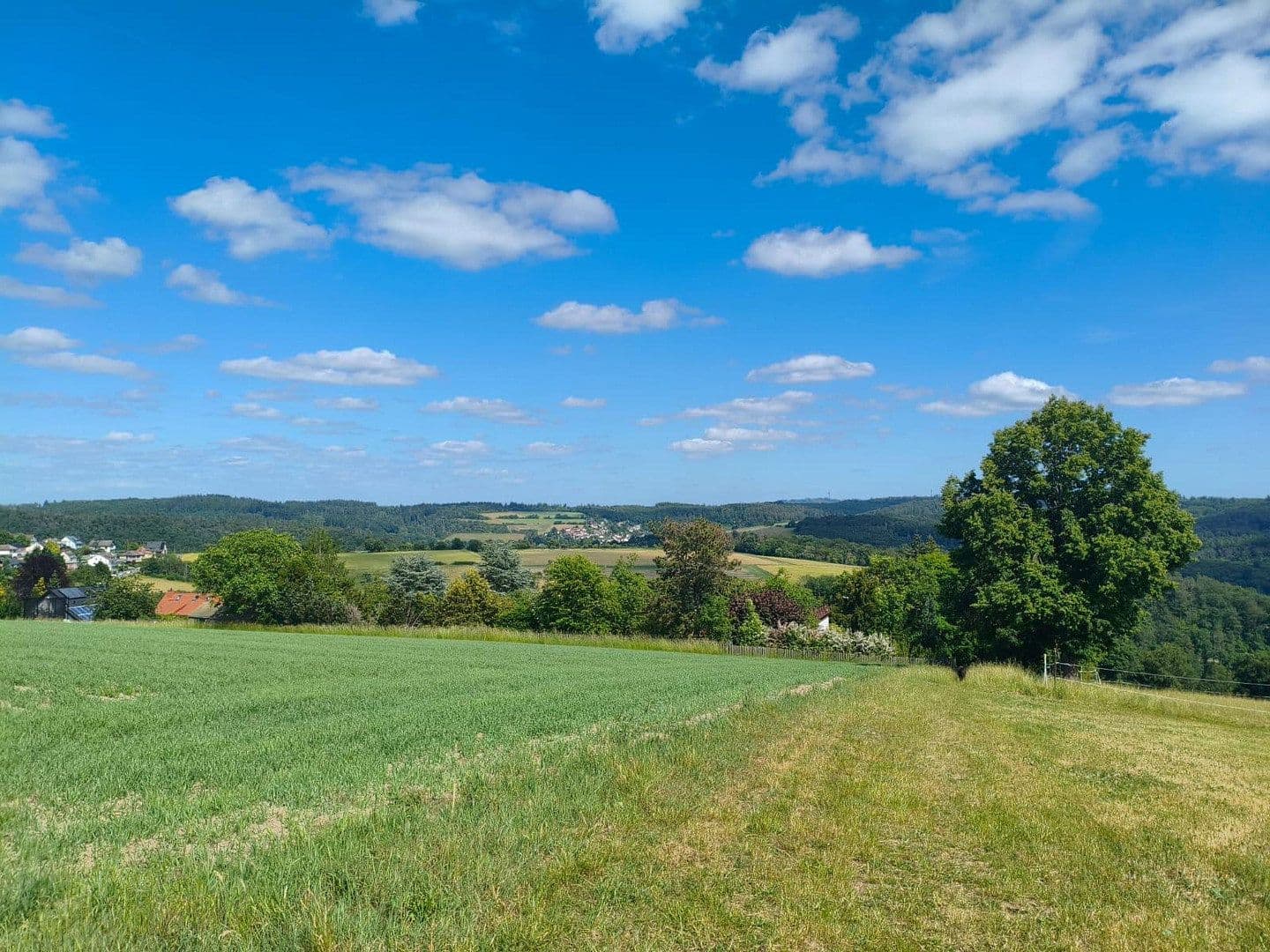 Predaj domu 266 m², pozemek 1.300 m², Schlehenweg 37, Heidenrod, Hesensko Predaj domu 266 m², pozemek 1.300 m², Schlehenweg 37, Heidenrod, Hesensko