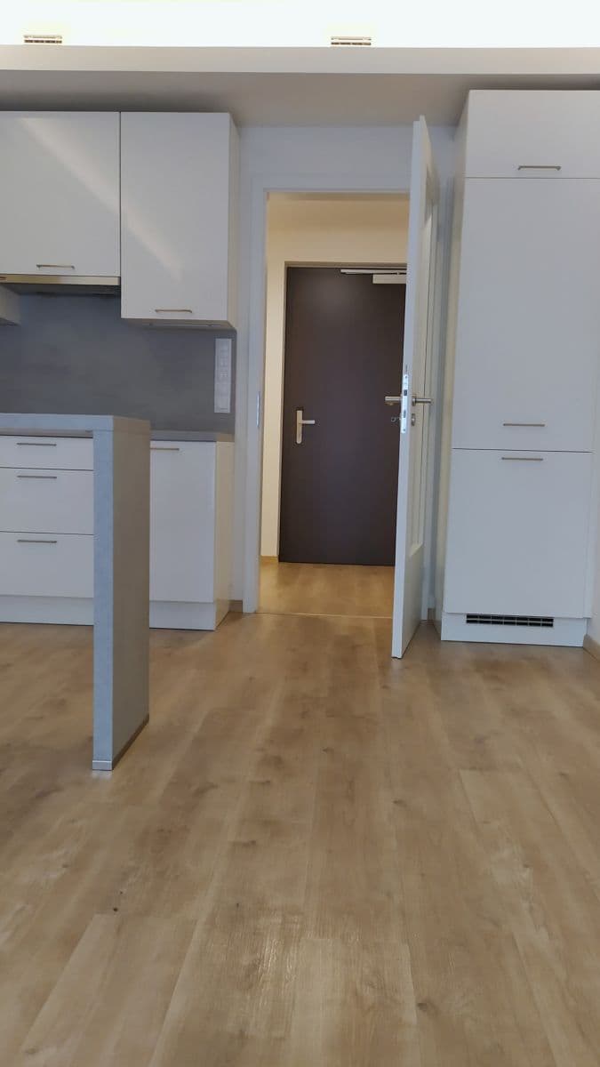 Prenájom bytu 1-izbový 31 m², Mukařovského, Praha, Praha Prenájom bytu 1-izbový 31 m², Mukařovského, Praha, Praha