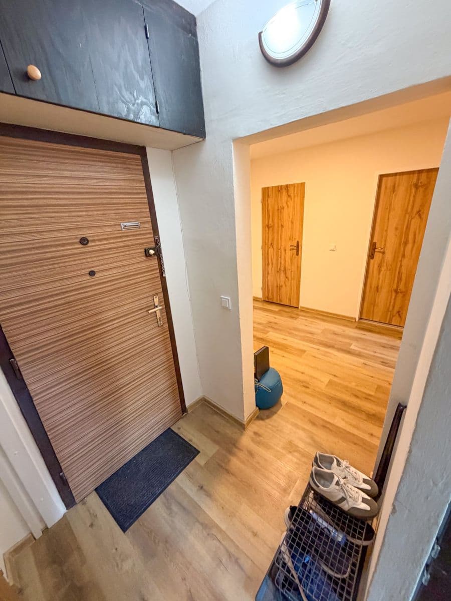 Prenájom bytu 1-izbový 49 m², Okrouhlá, Brno, Jihomoravský kraj Prenájom bytu 1-izbový 49 m², Okrouhlá, Brno, Jihomoravský kraj