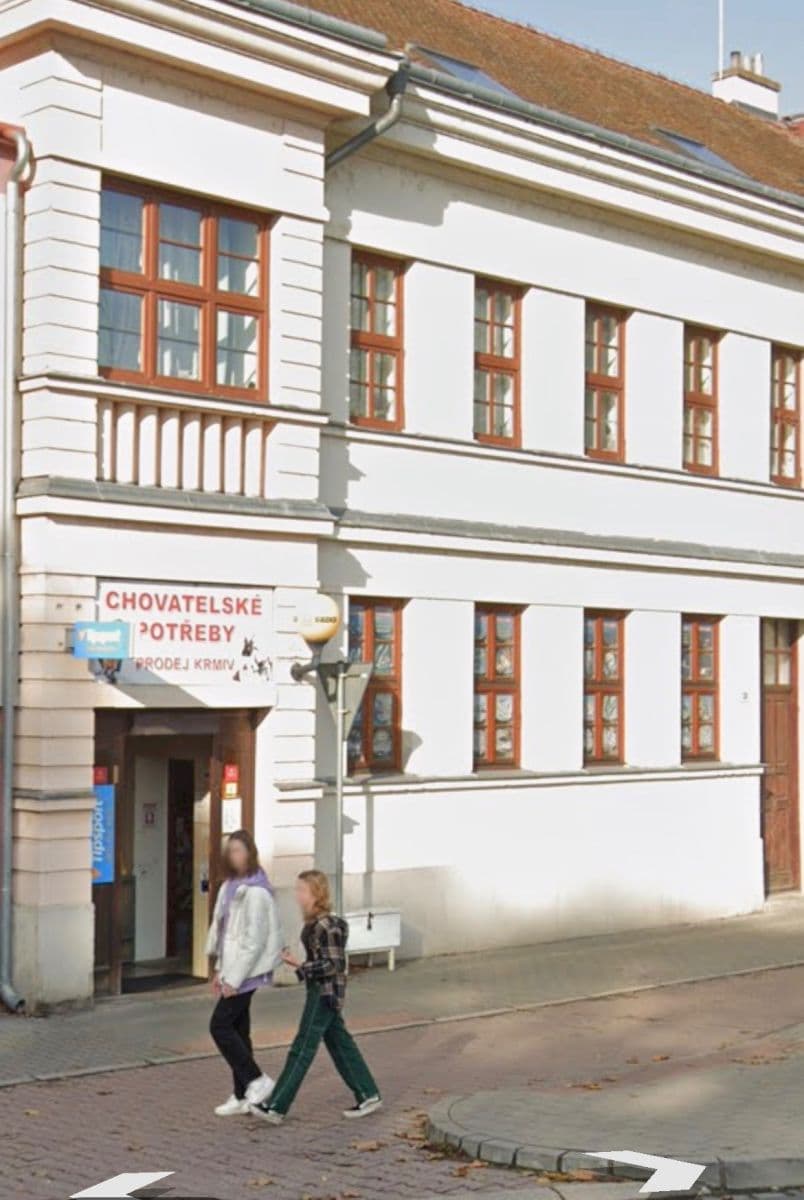 Predaj nebytového priestoru 91 m², Nádražní, Židlochovice, Jihomoravský kraj Predaj nebytového priestoru 91 m², Nádražní, Židlochovice, Jihomoravský kraj