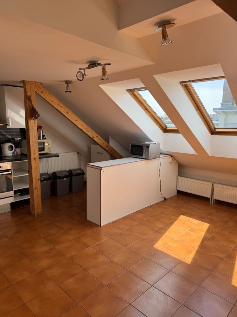 Prenájom bytu 3-izbový 127 m², Čápkova, Brno, Jihomoravský kraj Prenájom bytu 3-izbový 127 m², Čápkova, Brno, Jihomoravský kraj