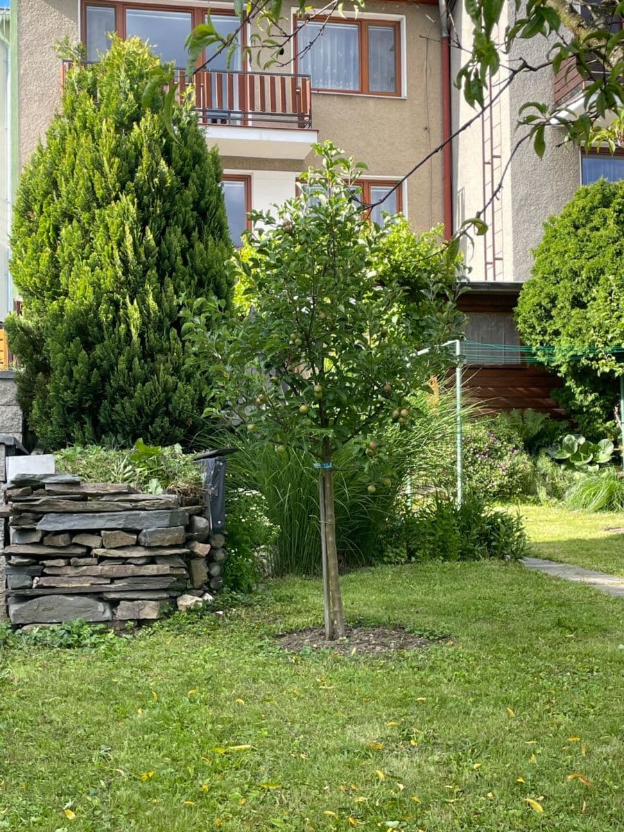Predaj domu 137 m², pozemek 391 m², Kopaniny, Velká Bystřice, Olomoucký kraj Predaj domu 137 m², pozemek 391 m², Kopaniny, Velká Bystřice, Olomoucký kraj