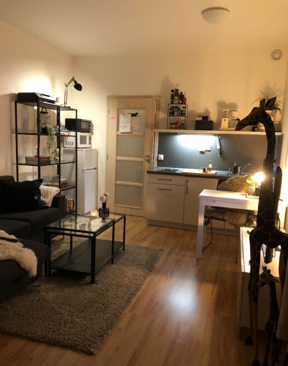 Prenájom bytu 1-izbový 37 m², Freyova, Praha, Praha Prenájom bytu 1-izbový 37 m², Freyova, Praha, Praha