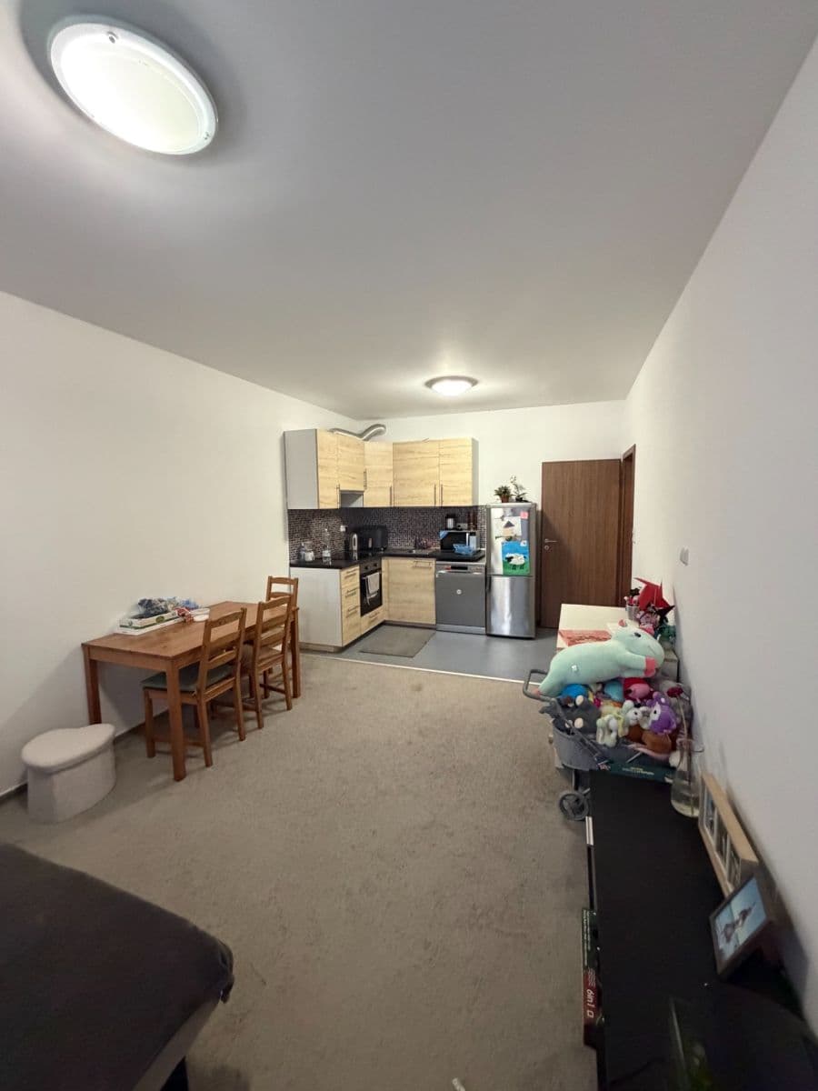 Prenájom bytu 2-izbový 55 m², Makedonská, Praha, Praha Prenájom bytu 2-izbový 55 m², Makedonská, Praha, Praha
