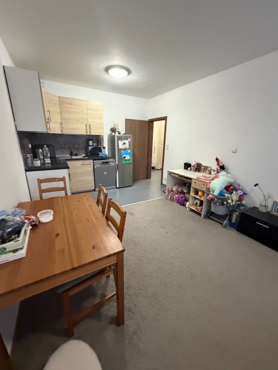 Prenájom bytu 2-izbový 55 m², Makedonská, Praha, Praha Prenájom bytu 2-izbový 55 m², Makedonská, Praha, Praha