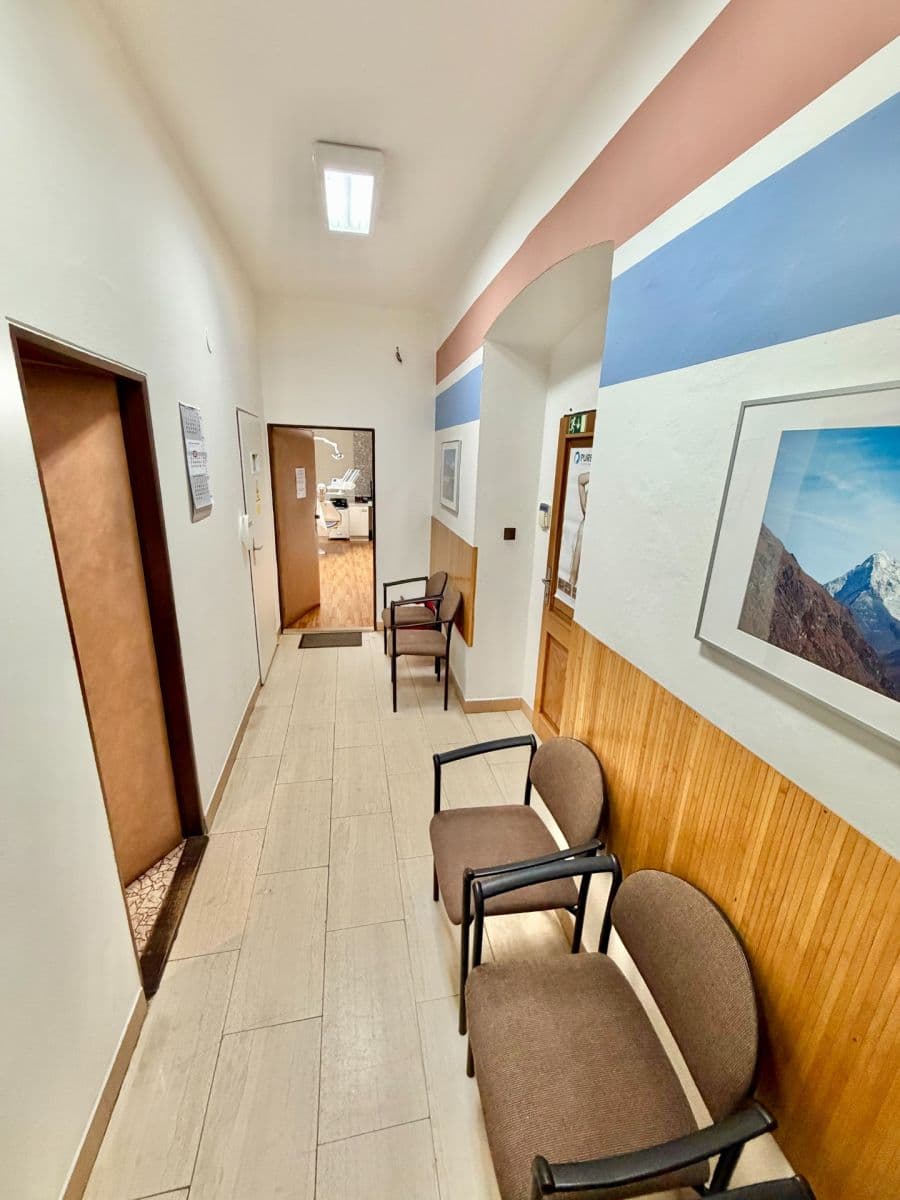 Prenájom nebytového priestoru 50 m², Havlíčkova, Plzeň, Plzeňský kraj Prenájom nebytového priestoru 50 m², Havlíčkova, Plzeň, Plzeňský kraj