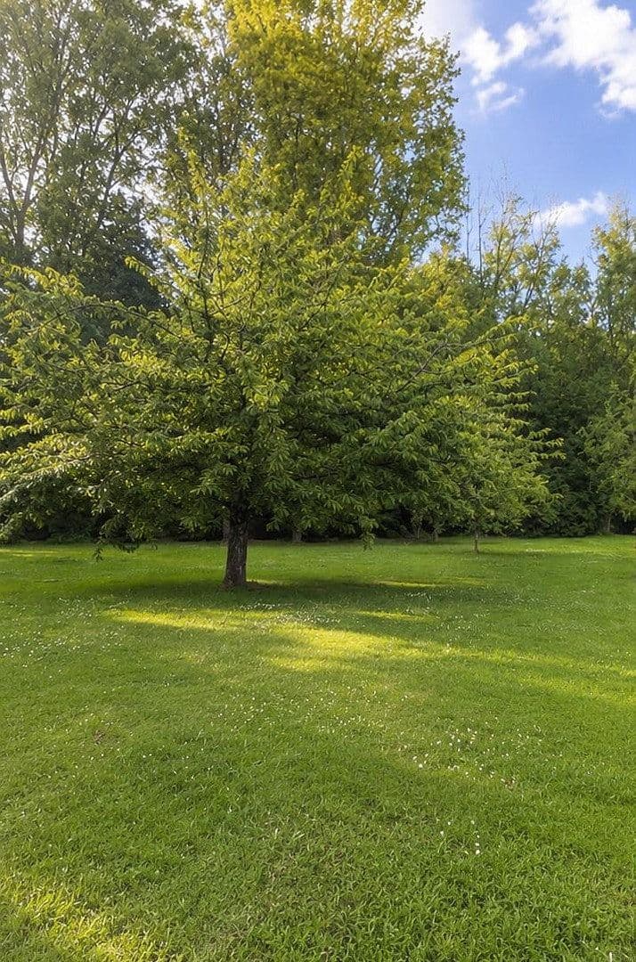 Predaj bytu 3-izbový 55 m², Oberhausen, Severné Porýnie - Westfálsko Predaj bytu 3-izbový 55 m², Oberhausen, Severné Porýnie - Westfálsko