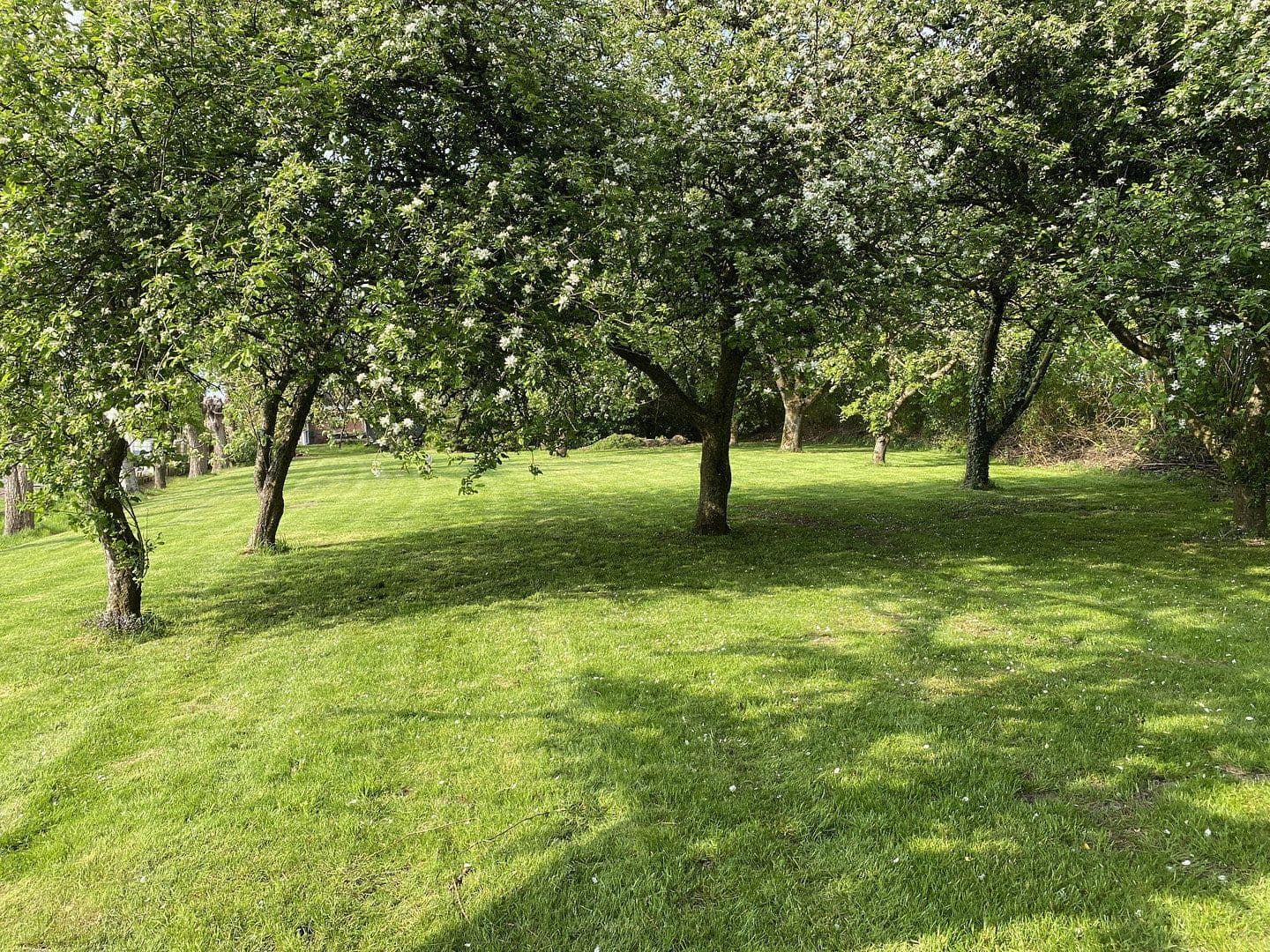 Predaj domu 139 m², pozemek 3.140 m², Oederquart, Dolné Sasko Predaj domu 139 m², pozemek 3.140 m², Oederquart, Dolné Sasko