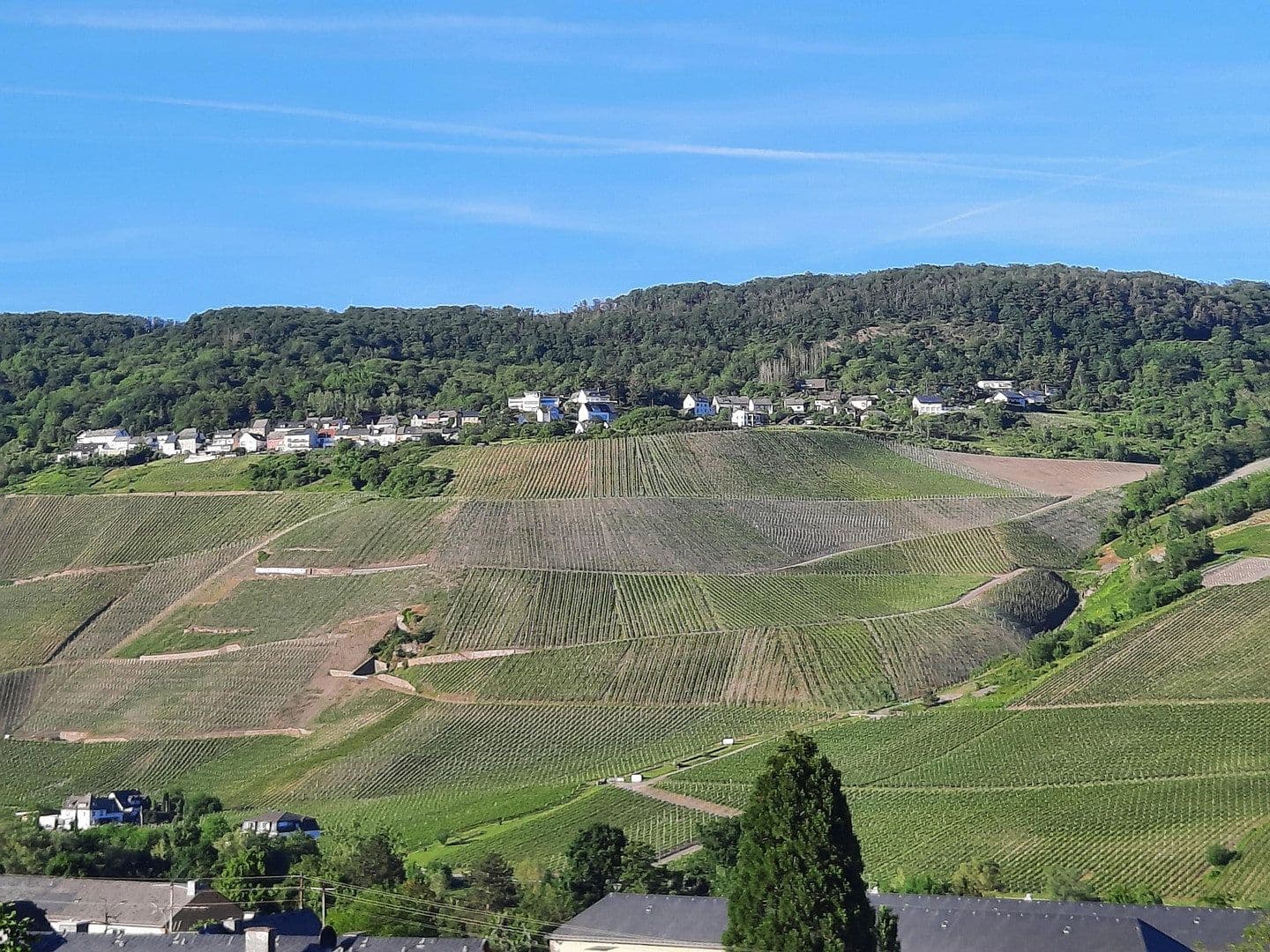 Predaj bytu 3-izbový 81 m², Bernkastel-Kues, Porýnie-Falcko Predaj bytu 3-izbový 81 m², Bernkastel-Kues, Porýnie-Falcko